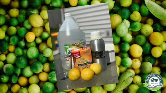 How to naturally clean and freshen your microwave oven