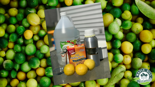 How to naturally clean and freshen your microwave oven