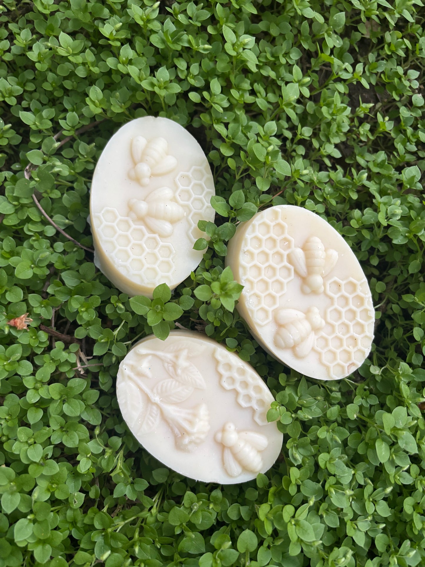 Lavender Orange Bee Soap