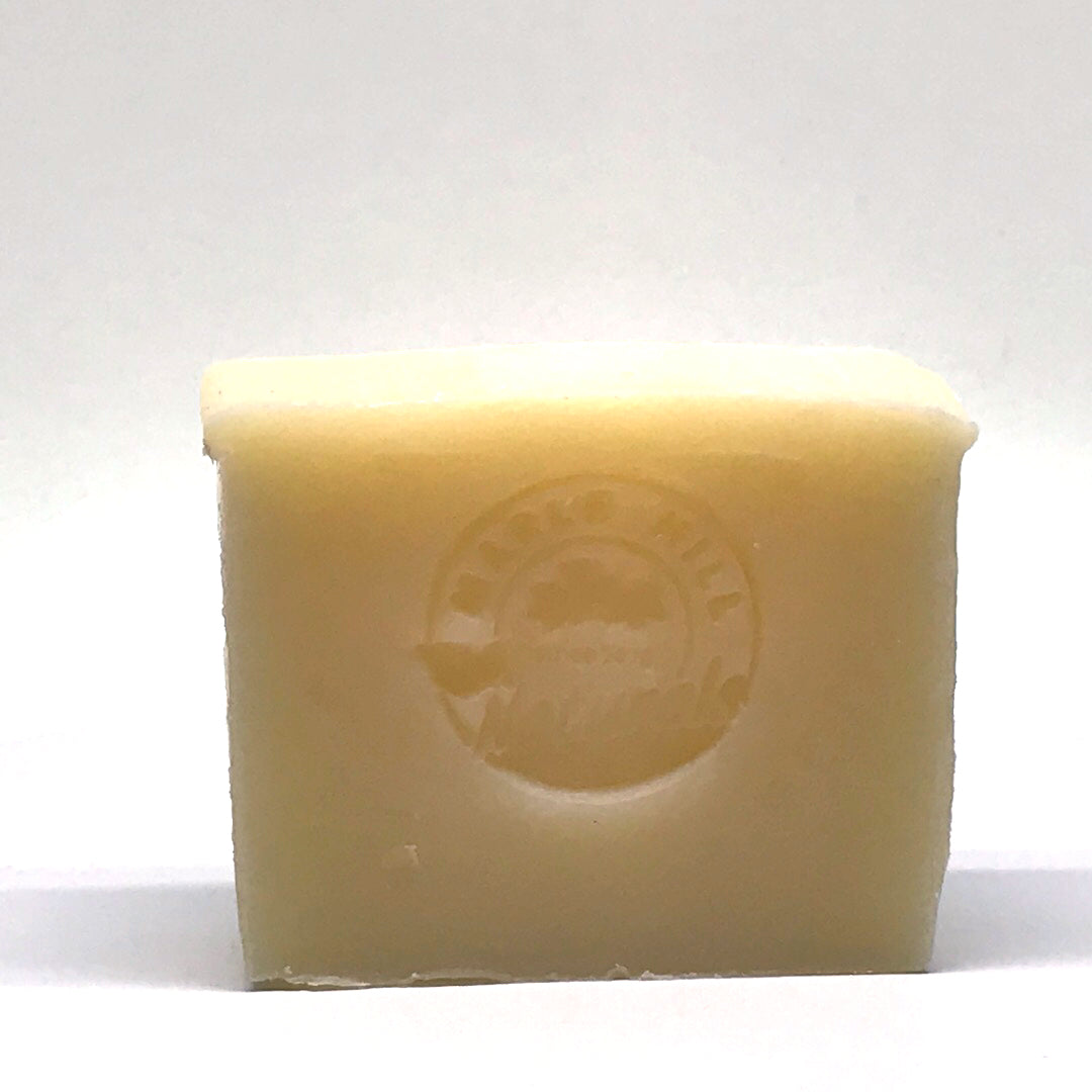 Nature's Simply Pet: Dog Wash