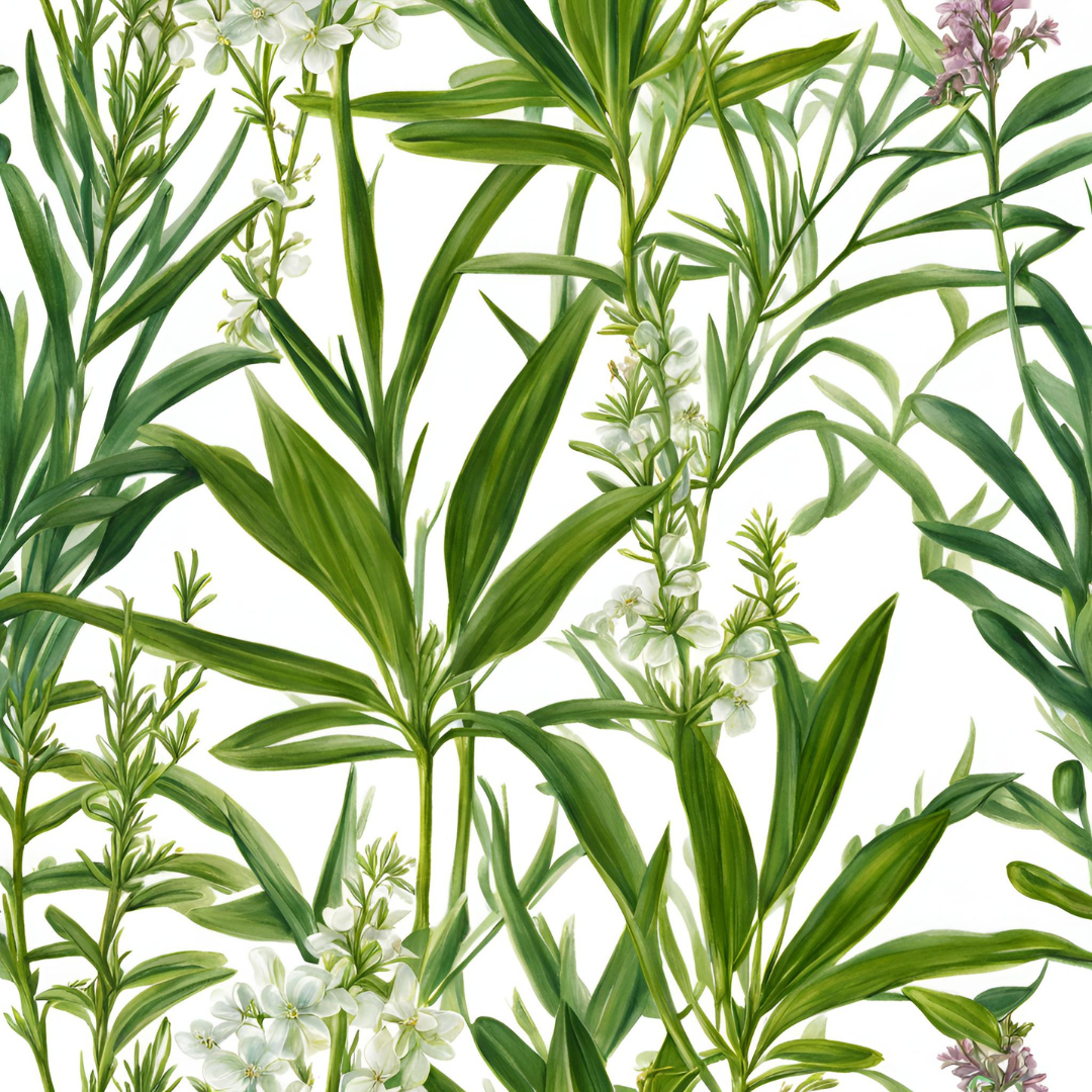 Purification Essential Oil Blend